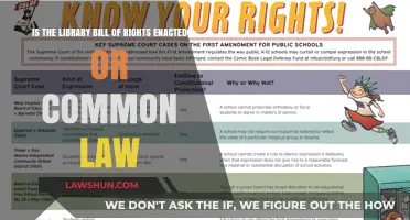 Library Bill of Rights: Enacted or Common Law?
