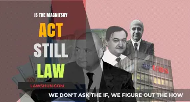 Is the Magnitsky Act Still Enforced in Global Law Today?