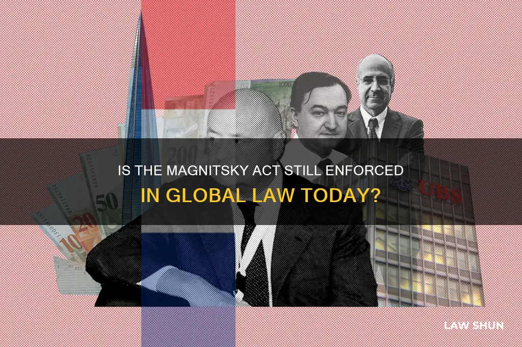 is the magnitsky act still law