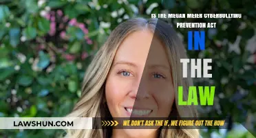 Megan Meier Act: Is Cyberbullying Prevention Legally Enforced?
