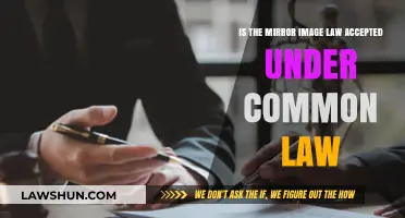 Mirror Image Rule: Common Law's Exception