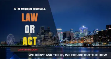 Montreal Protocol: International Treaty or Legal Act Explained