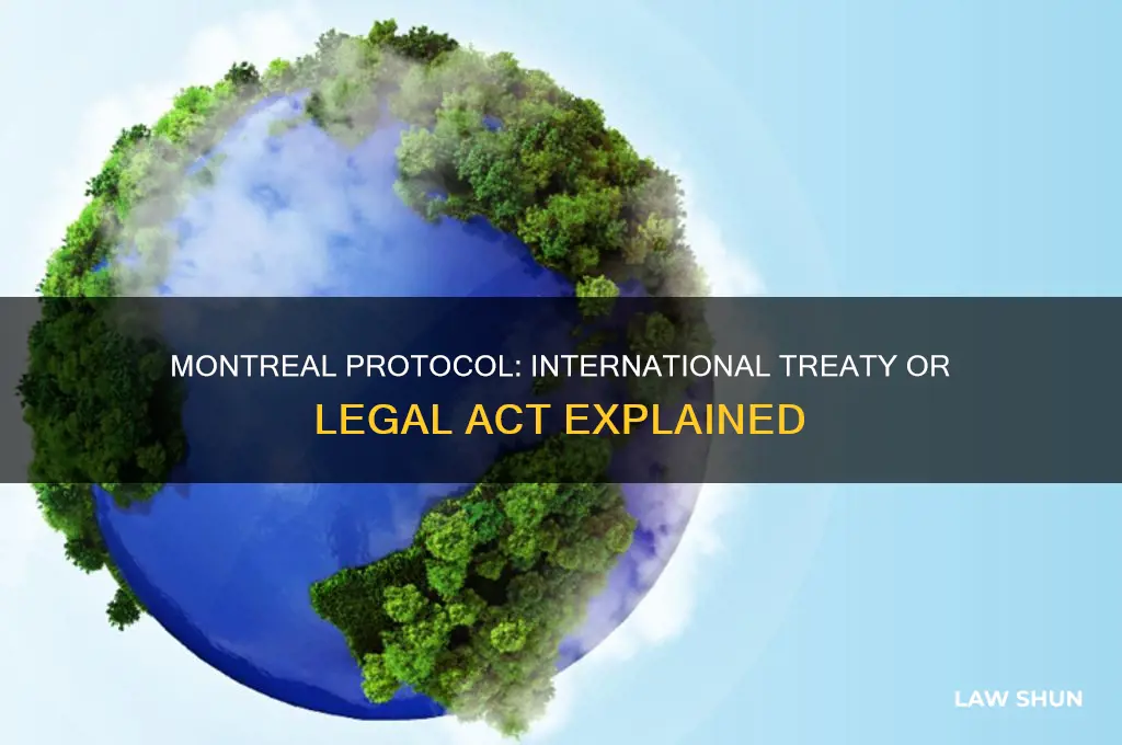 is the montreal protocol a law or act