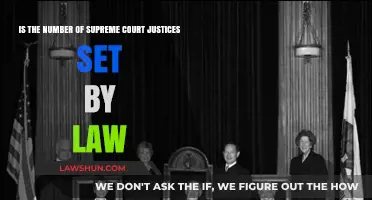 Is the Supreme Court's Justice Count Legally Fixed?