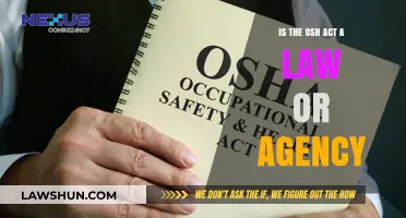 Understanding the OSH Act: Law, Agency, or Both?