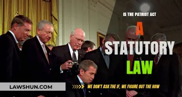 Is the Patriot Act a Statutory Law? Understanding Its Legal Framework