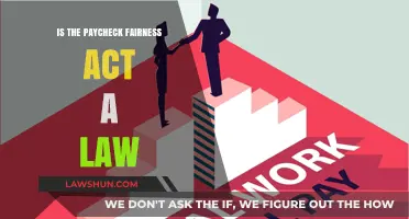 Is the Paycheck Fairness Act a Law? Understanding Its Legal Status