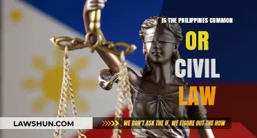 Philippine Law: Civil or Common?