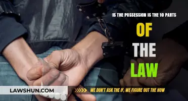 Possession and the Law: Unraveling the Ten Legal Components