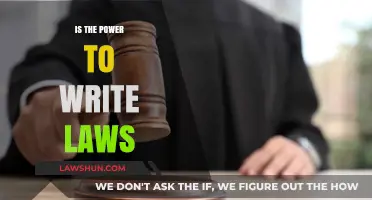Who Holds the Power to Write Laws? A Deep Dive