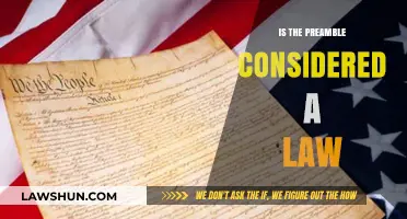 Understanding the Legal Weight of Preambles in Legislation