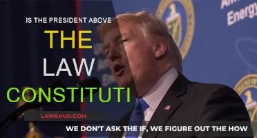 Who's Above the Law? The President and the Constitution