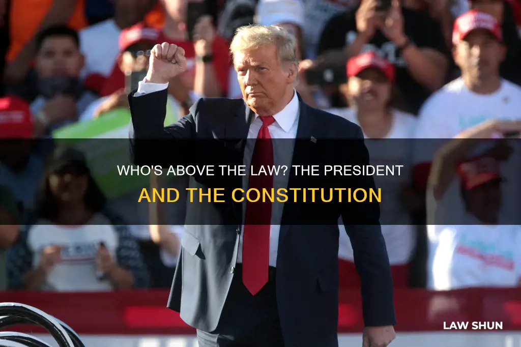 is the president above the law constitution
