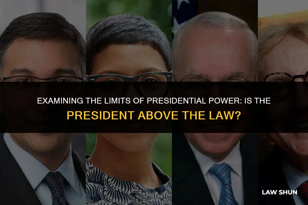 is the president above the law