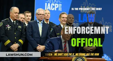 Is the President the Chief Law Enforcement Official? Exploring the Role