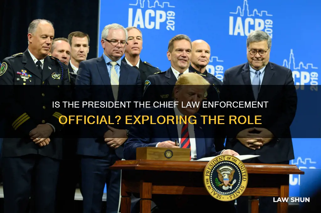 is the presidnet the chief law enforcemnt offical