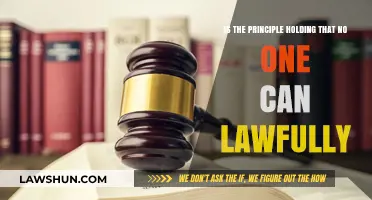 The Principle of Lawful Action: No One is Above the Law