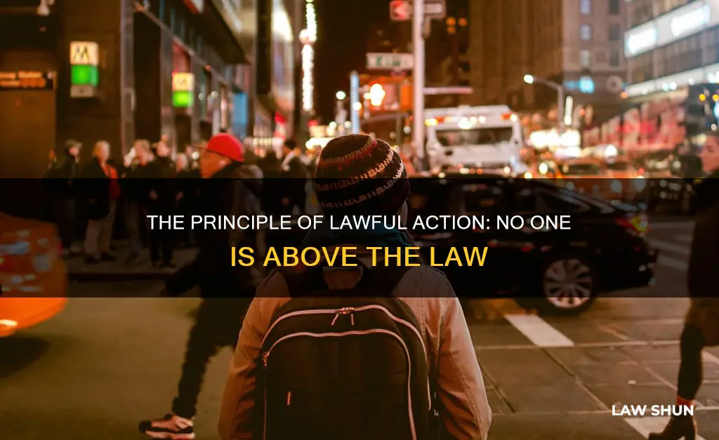 is the principle holding that no one can lawfully