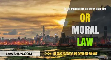 Usury Prohibition: Civil Law, Moral Law, or Both?