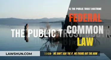 Public Trust Doctrine: Federal Common Law?