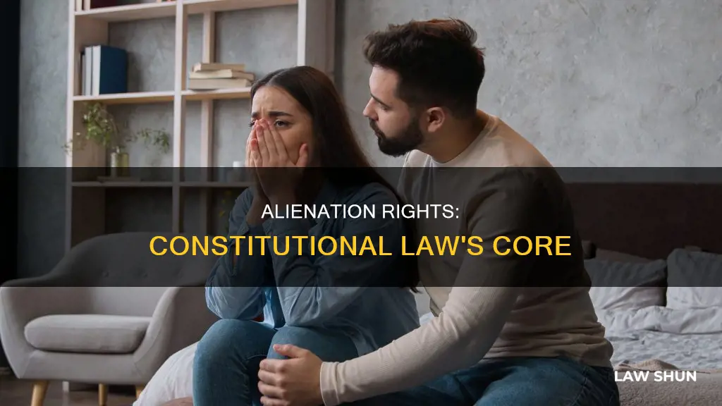 is the right of alienation is constitutional law
