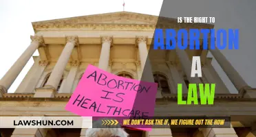 Abortion Rights: A Legal Battle for Women's Freedom