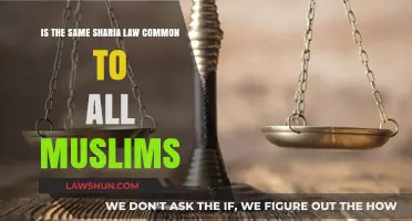 Sharia Law: A Single Standard for All Muslims?