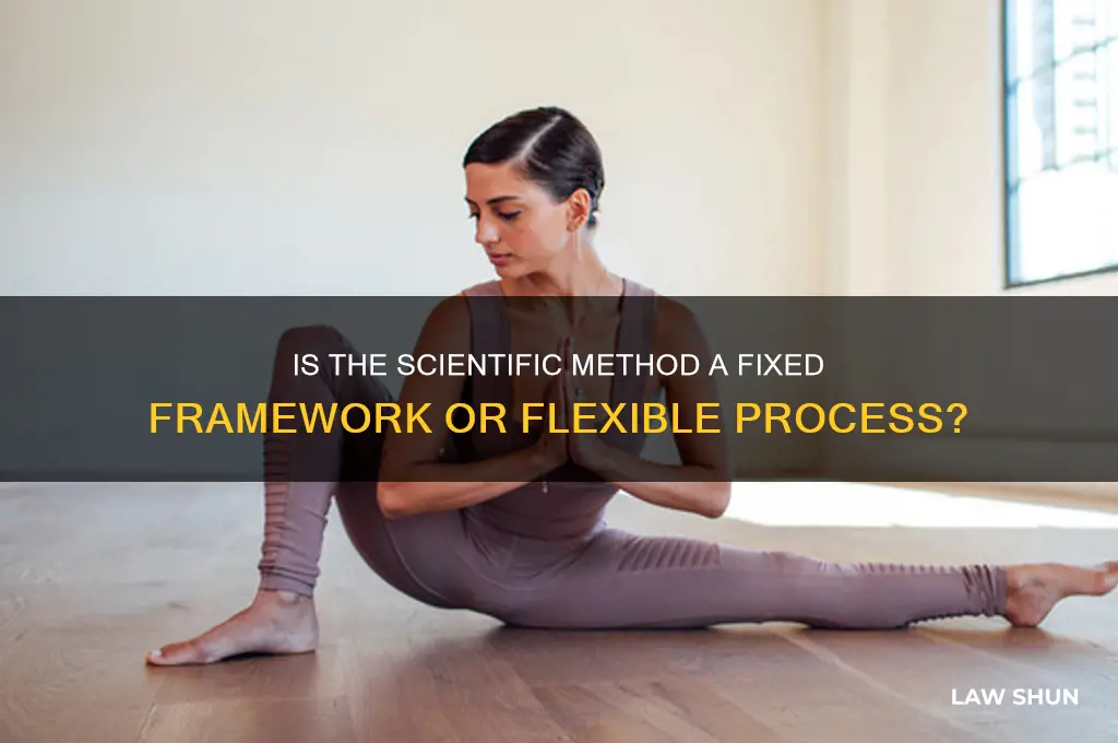 is the scientific method one set of clearly defined laws