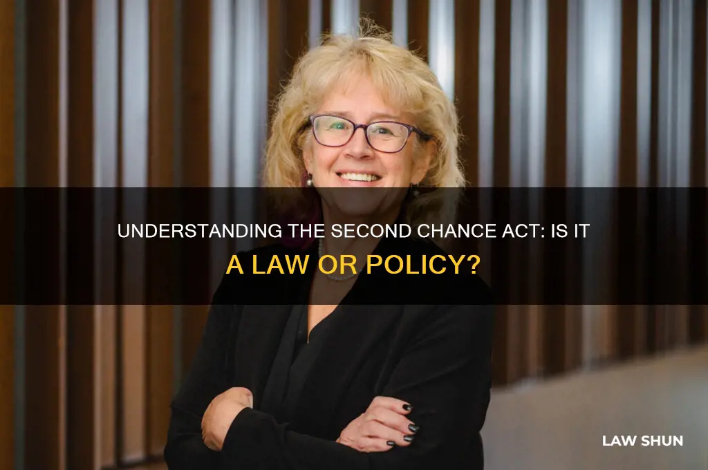 is the second chance act a law