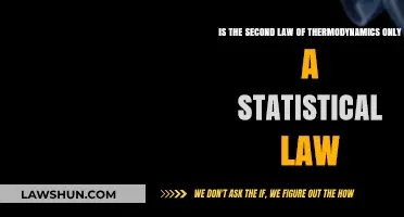 Is the Second Law of Thermodynamics Merely Statistical?
