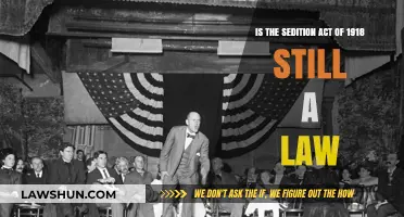Is the Sedition Act of 1918 Still Enforced Today?
