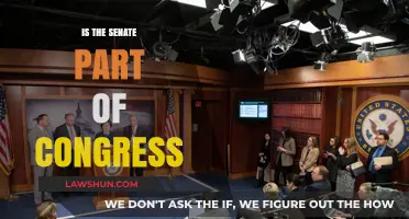 Understanding the U.S. Government: Is the Senate Part of Congress?