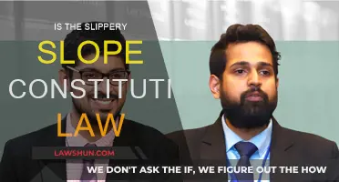 Slippery Slope: Constitutional Law's Precarious Journey