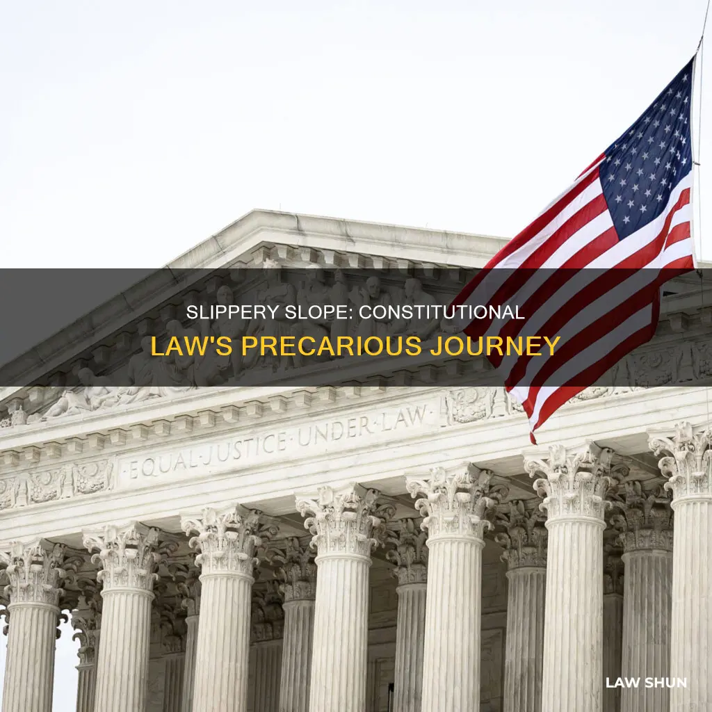 is the slippery slope constitutional law