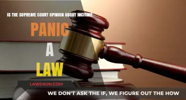Supreme Court's Panic Incitement Opinion: Legal Precedent or Overreach?