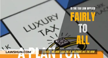 Tax Law: Fairness and Equality Under Scrutiny