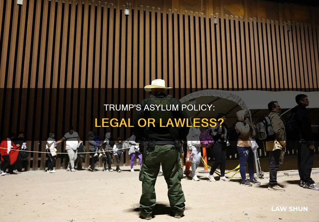 is the trump administration breaking law on asylum seekrs