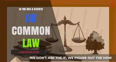 Understanding UCC: Statute or Common Law?