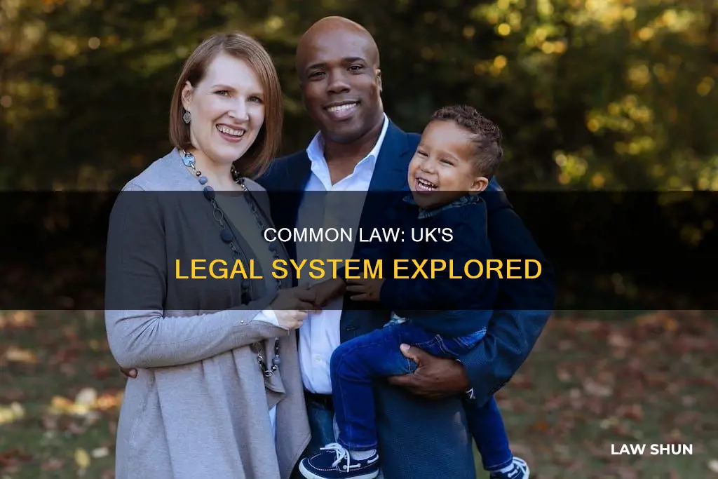 is the uk a common law jurisdiction