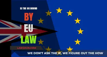 UK & EU Law: What's the Deal?