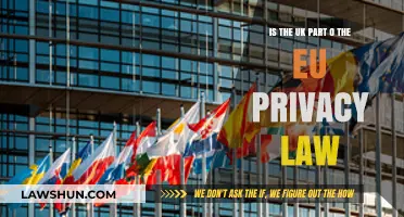 UK & EU Privacy Laws: What's the Deal?