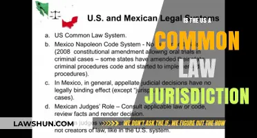 Common Law in the US: A Jurisdiction's Identity