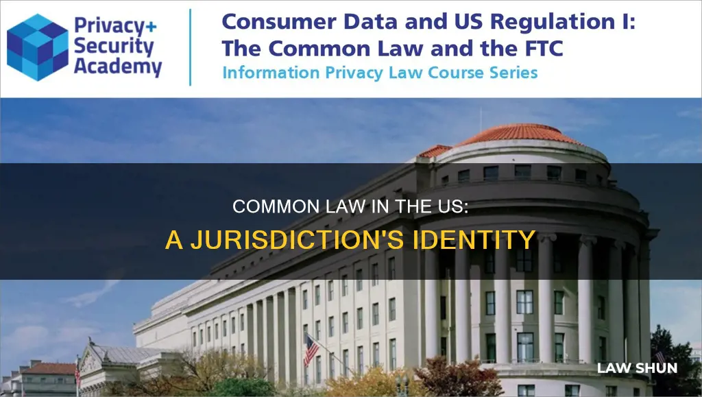 is the us a common law jurisdiction