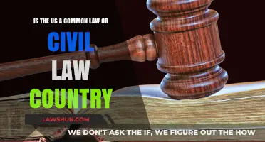 Civil Law vs Common Law: What's the US?