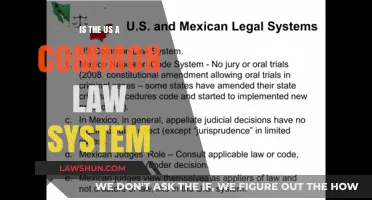 The US: A Common Law System?