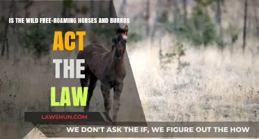 Is the Wild Free-Roaming Horses and Burros Act Still Relevant Today?