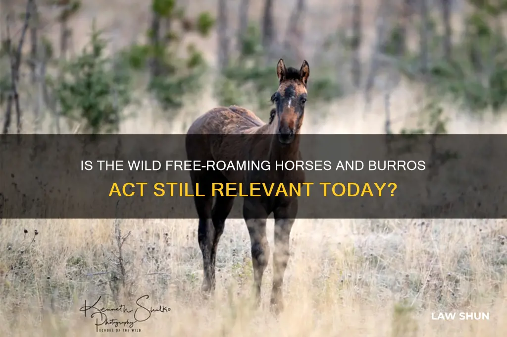 is the wild free-roaming horses and burros act the law
