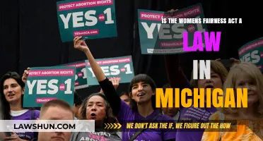 Is Michigan's Women's Fairness Act a Law? Exploring the Facts