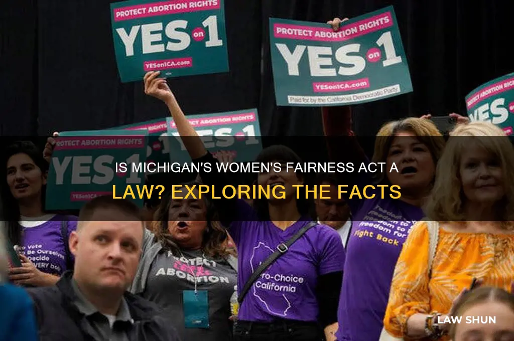 is the womens fairness act a law in michigan