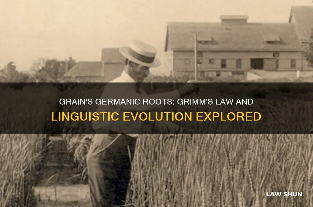 is the word grain a result of grimm